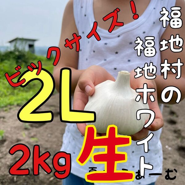 福地ホワイト発祥の地 福地村産 元祖福地ホワイト 2L 2kg 青森県産 生にんにく 令和7年産 農家直送 夏坂ふぁーむ 低農薬