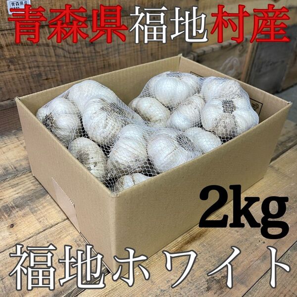 福地ホワイト発祥の地 福地村産 元祖福地ホワイト 土付き L 2kg 青森県産 半生 半乾燥 令和7年産 農家直送 夏坂ふぁーむ
