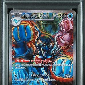PSA10 イルカマンex SAR ポケモンカードゲーム