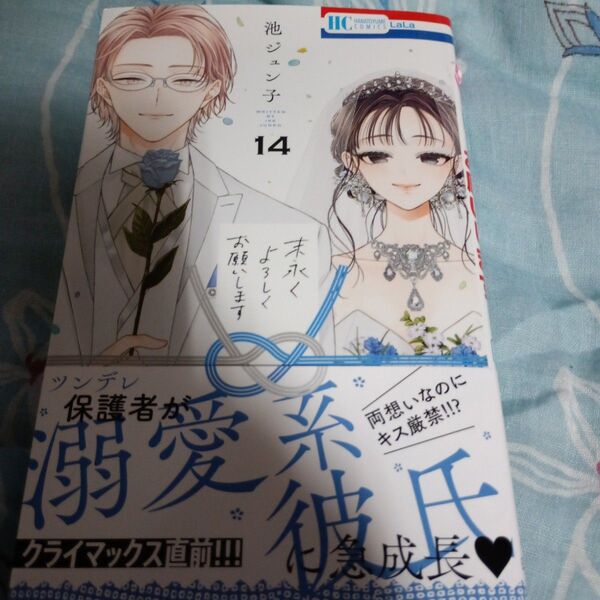 訳あり末永くよろしくお願いします 14 (花とゆめCOMICS) 池ジュン子/著