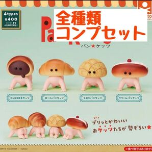 パンケッツ 全4種セット コンプ コンプリートセット ガチャ