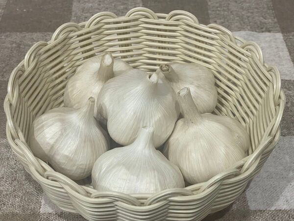 令和7年田子町産乾燥ニンニク玉Msize 1kg にんにく