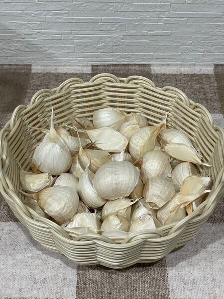 令和7年田子町産乾燥ニンニクバラ大粒500g にんにく