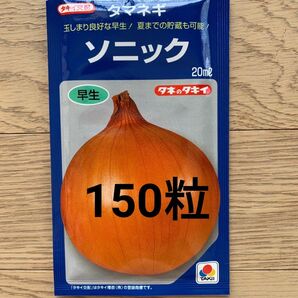 タマネギ 種 150粒 ソニック 早生 玉ねぎ タネ ゆうパケット発送 玉葱 新入荷
