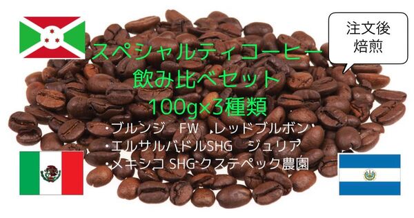 【注文後焙煎】スペシャルティコーヒー豆飲み比べセット(100g×3種類)