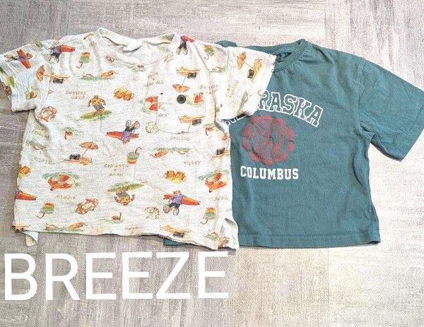 BREEZE 半袖Tシャツ2枚セット100保育園男の子女の子まとめ売りZARA