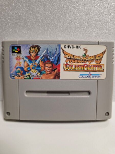 飛龍の拳S スーパーファミコンソフト 起動確認 簡易清掃 簡易端子清掃済み SFC