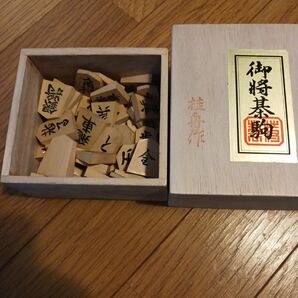 【美品】将棋駒 桂舟作
