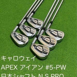 キャロウェイ APEX 2015 アイアンセット