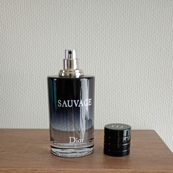 Dior SAUVAGE ディオール ソバージュ オードゥトワレEDT 100 香水 メンズ