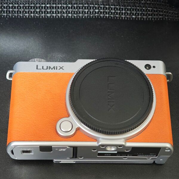Lumix s9 DC-S9N-Dキャメルオレンジ