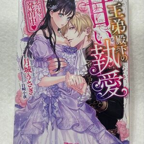 王弟殿下の甘い執愛 ヴァニラ文庫
