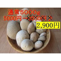 ♪【薬石苑】姫川薬石　超お買い得【5,000g】セット♪_画像1