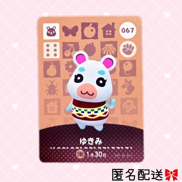 あつまれどうぶつの森 amiiboカード あつ森 Nintendo 任天堂 カード アミーボカード Switchゲーム ゆきみ