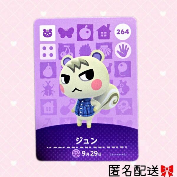あつまれどうぶつの森 amiiboカード あつ森 Nintendo 任天堂 カード アミーボカード Switchゲーム ジュン