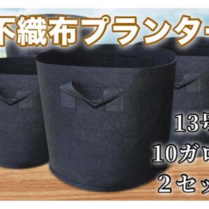プランター 野菜栽培 布鉢 栽培袋 フェルト 不織布ポット 植え袋 ガーデン 大容量 10ガロン 2セット