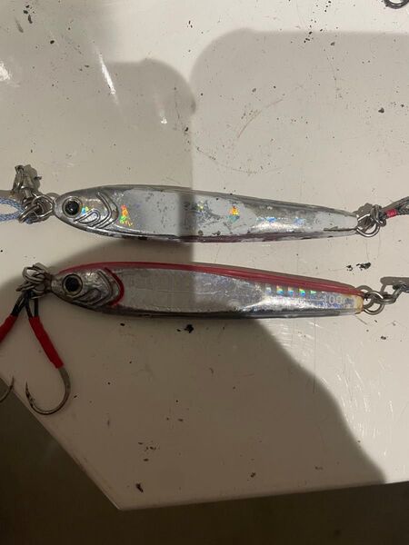 TGベイト 100g 2本セット