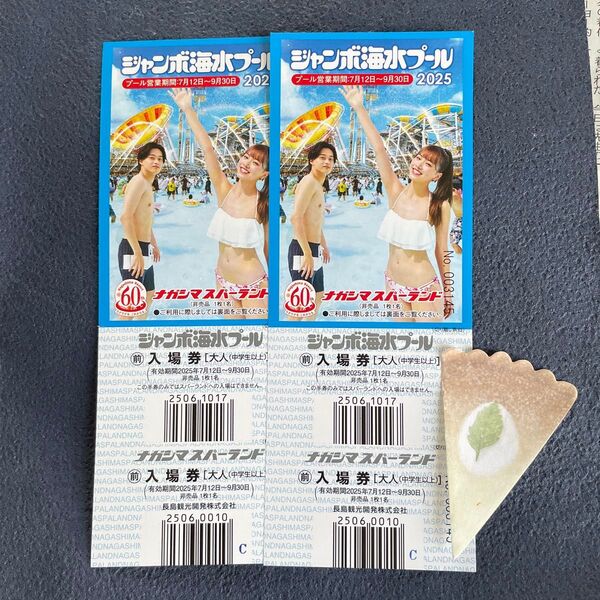 ナガシマスパーランド ジャンボ海水プール スパキッズ 入場券 大人2枚