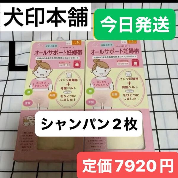 犬印 オールサポート妊婦帯 新品 Lサイズ シャンパン 2枚セット パンツ妊婦帯 犬印本舗 腹帯 マタニティインナー 犬印妊婦帯
