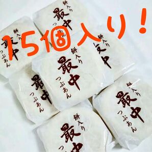 クーポンご利用可能!◇風月庵 餅入りつぶあん最中 15個セット もち入り! + 洗えるヘアゴム1個