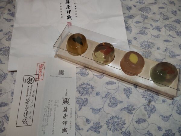 笹屋伊織 限定品 涼の晴風 金魚 朝顔 京都本店 ゼリー 和菓子 羊羹