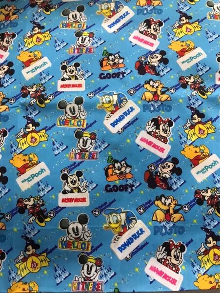 A163 ディズニー 生地 はぎれ 50×140