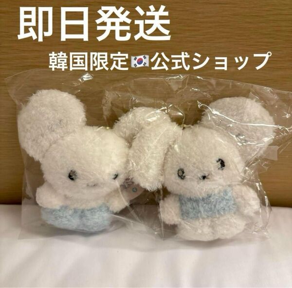 ポケモン ワッカネズミ 韓国限定 ぬいぐるみ キーリング ポケピース