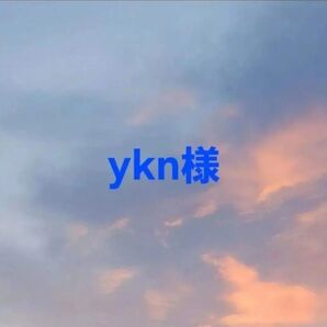 ykn様 専用ページ