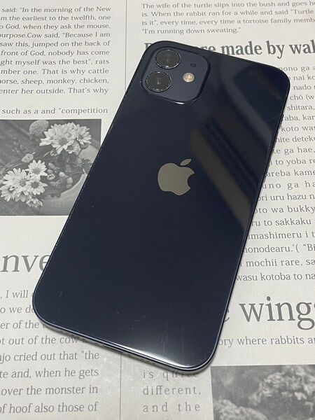 管理No.【バッテリー100%】iPhone12 128GB SIMフリー 残債・利用制限なし