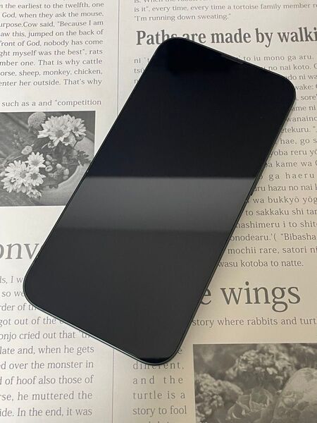 管理No.479087【バッテリー100%】iPhone13 128GB グリーン SIMフリー 残債・利用制限なし