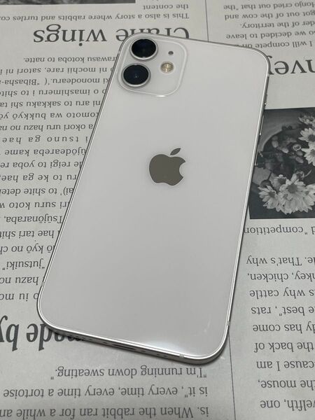 管理No.030587【バッテリー100%】iPhone12 mini 64GB SIMフリー 残債・利用制限なし
