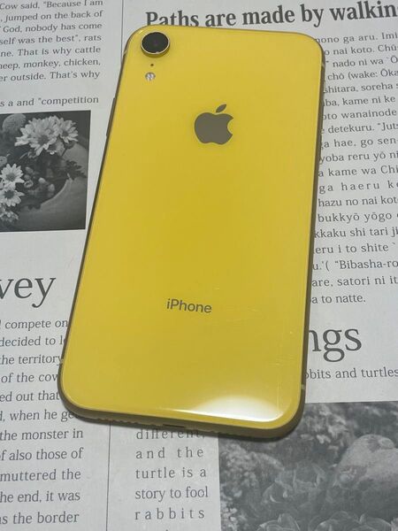 管理No.0423【バッテリー81%】iPhone XR 64GB SIMフリー 残債・利用制限なし