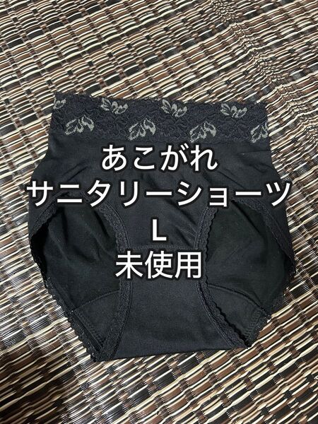 マルコ あこがれ サニタリーショーツ L 未使用