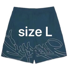 Supreme Tag Water Short "Teal"