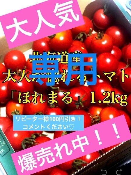 北海道産 ほれまる ミニトマト