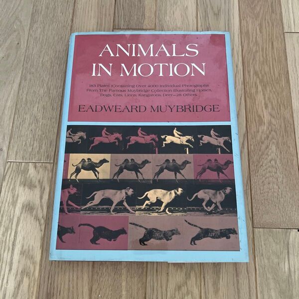 Animals in Motion Eadweard Muybridge