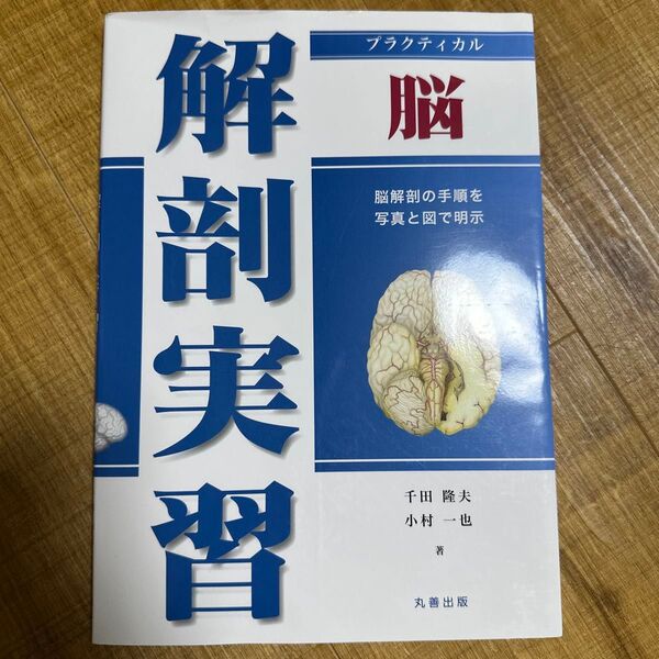 解剖実習 脳