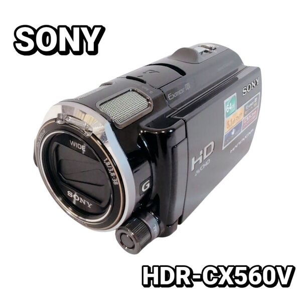 SONY HDR-CX560V デジタルビデオカメラ ハンディカム