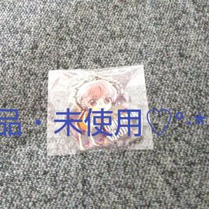WIND BREAKER ウィンドブレイカー ぴたでふぉめ アクリルキーホルダー アクキー 兎耳山丁子☆°*三