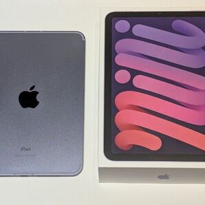 【美品】iPad mini 第6世代(2021製)Cellular+WiFiモデル 256GB