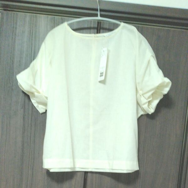 テチチ ブラウス 半袖 新品