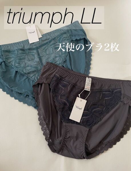 新品 LL 2枚 トリンプ Triumph 天使のブラ スリムライン582 レギュラーショーツ