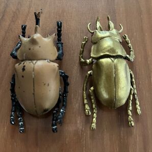 おもちゃ カブトムシ クワガタ 2体