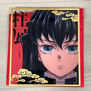 2種セット 鬼滅の刃 柱展 ランダム ミニクリア色紙 時透無一郎 ときとう きめつ