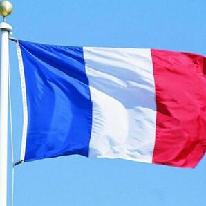 フランス 国旗 フラッグ 応援 送料無料 150cm x 90cm 新品 flag サッカー ラグビー インテリア