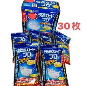 白元アース 快適ガードプロ プリーツタイプ レギュラーサイズ 5枚入 ×6 30枚