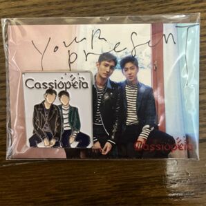 東方神起 YOUR PRESENT ピンバッジ カシオペアver