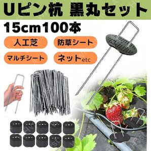 Uピン杭 黒丸付き 15cm 100本セット 除草シート 人工芝 U字型 固定用 マルチ ネット