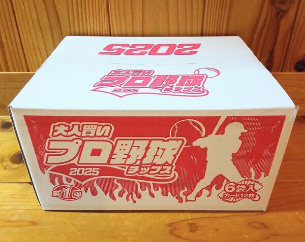 大人買い プロ野球チップス 2025