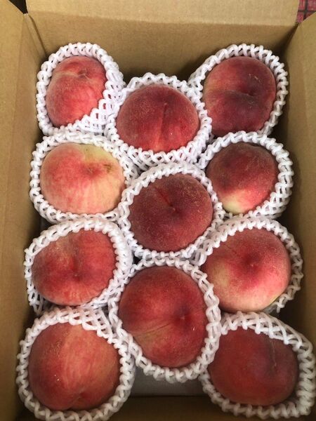 174.お買い得福島産 朝採り硬め桃箱込み3kg訳あり家庭用玉数お任せ常温便
